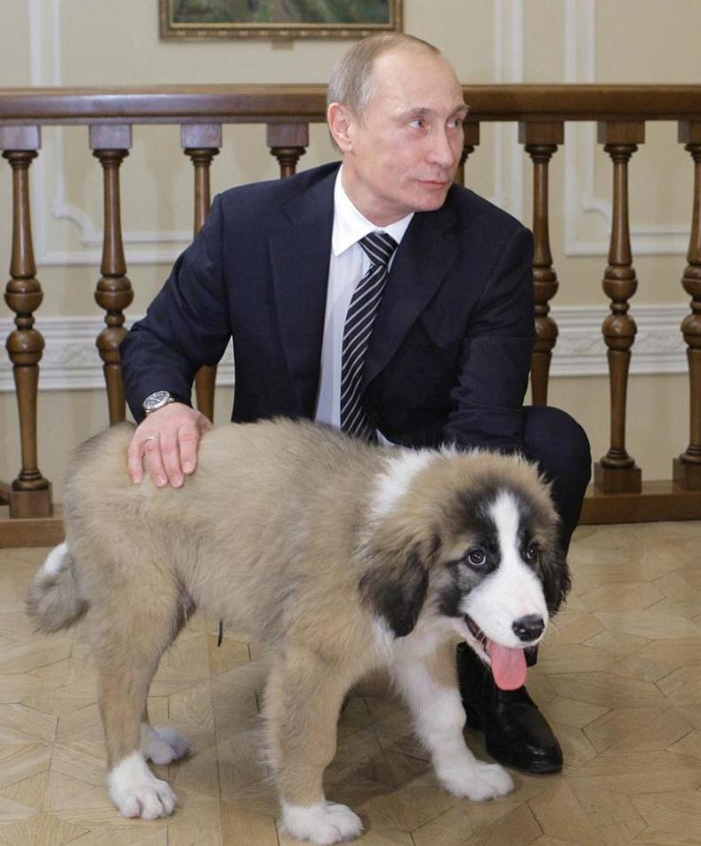 Путин и щенок