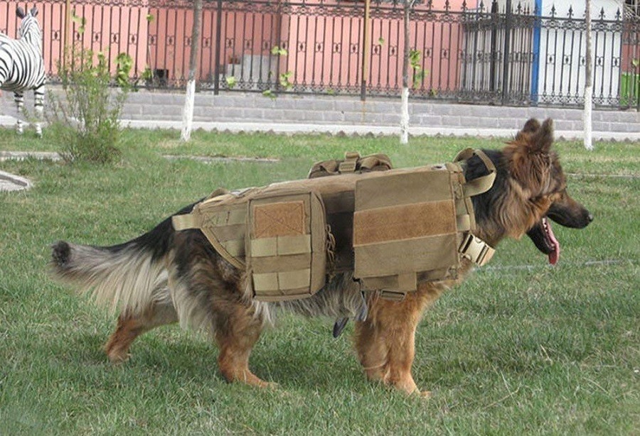 Рабочая шлейка для служебных собак