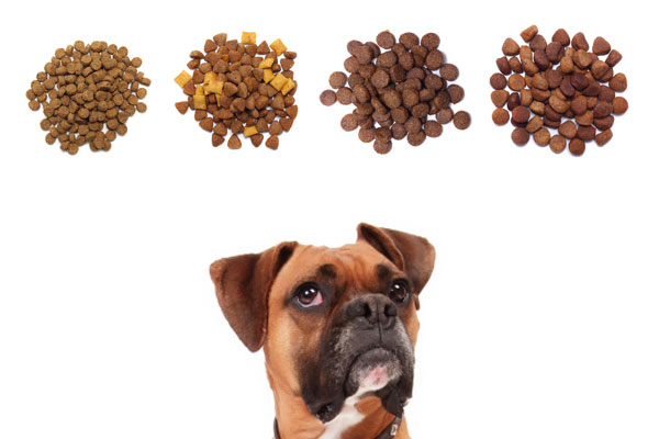 Разновидности кормов для собак