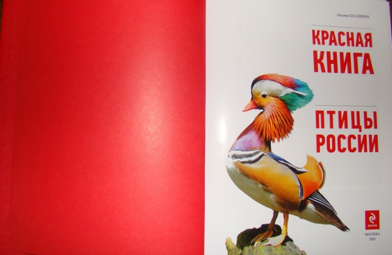 Птицы Из Красной Книги Фото