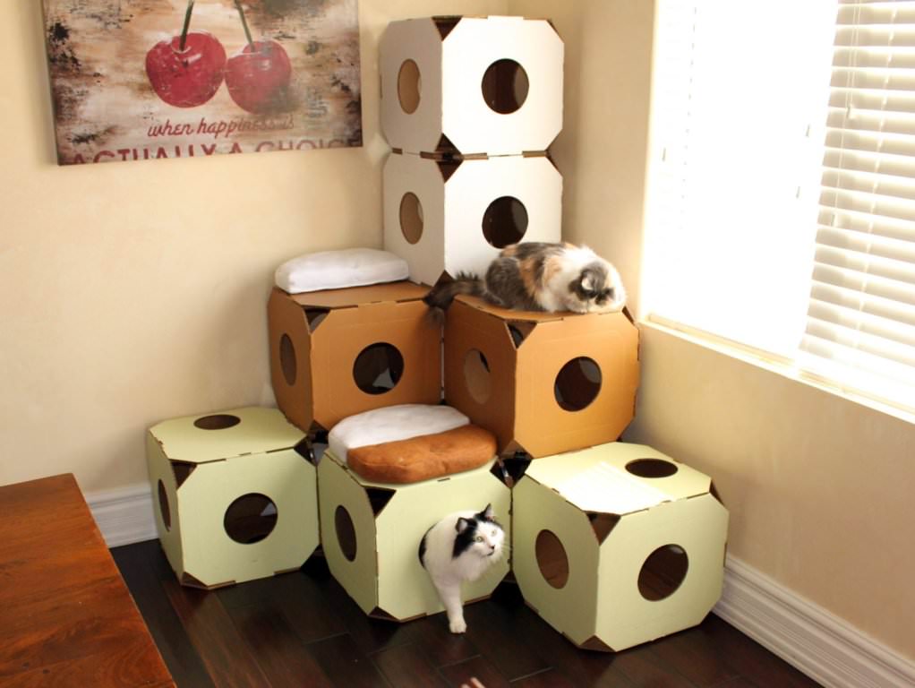 дом для кошки из коробки