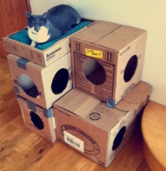 дом для кошки идеи