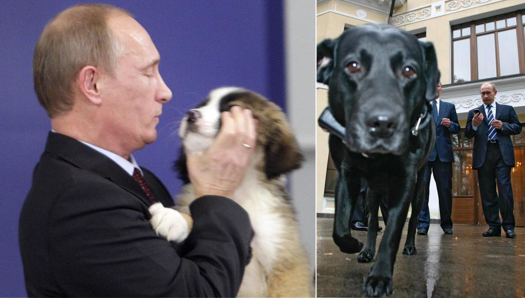 Путинская порода собак